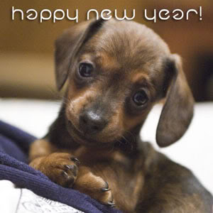 new_year_s.jpg happy new year image by saracoe