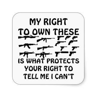 My Gun Rights Protect Your 1st Amendment Rights Sticker