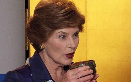 First Lady Laura Bush - Why Americans love Laura Bush